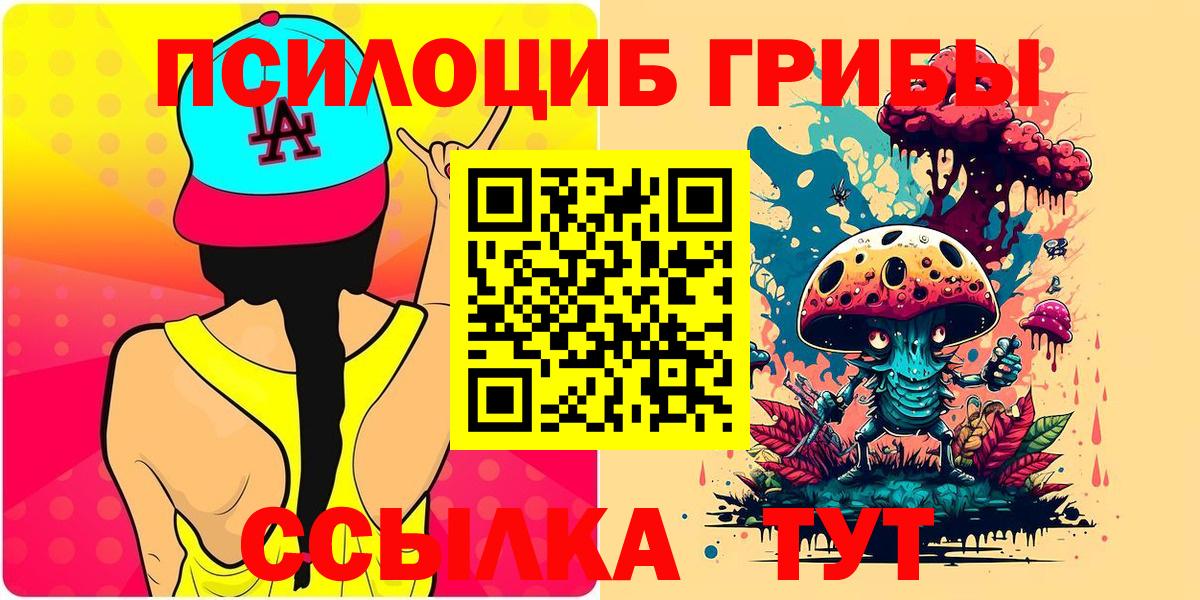 Псилоцибиновые грибы Psilocybine cubensis Острогожск